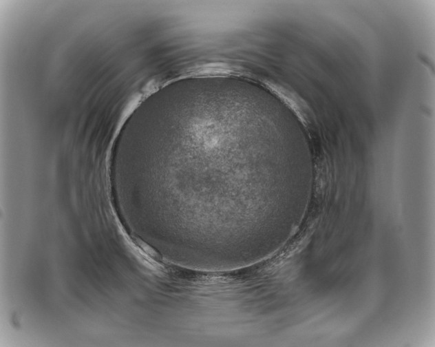 X0000098021475200803281324