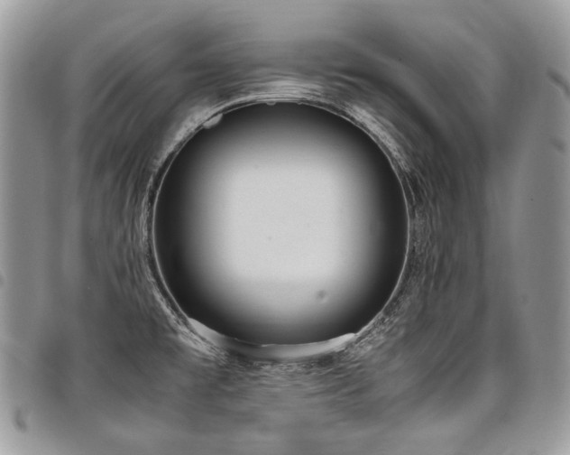 X0000098021477200803281324