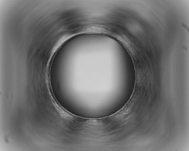 X0000098021478200803281323