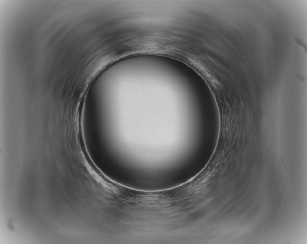 X0000098021479200803281323