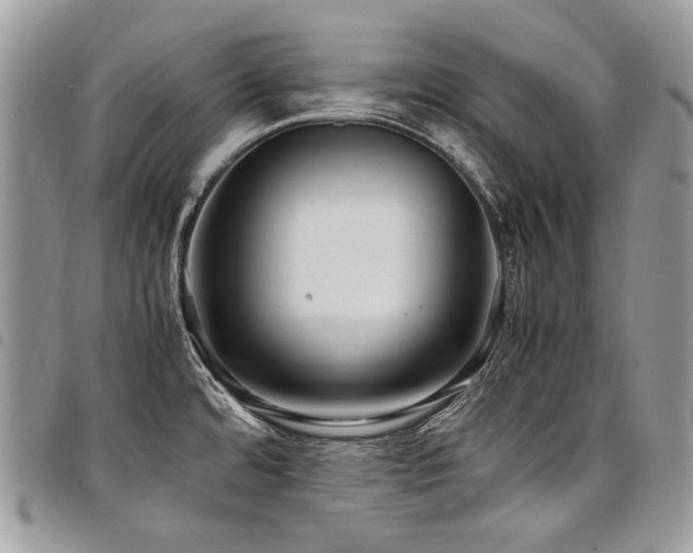 X0000098021480200803281323