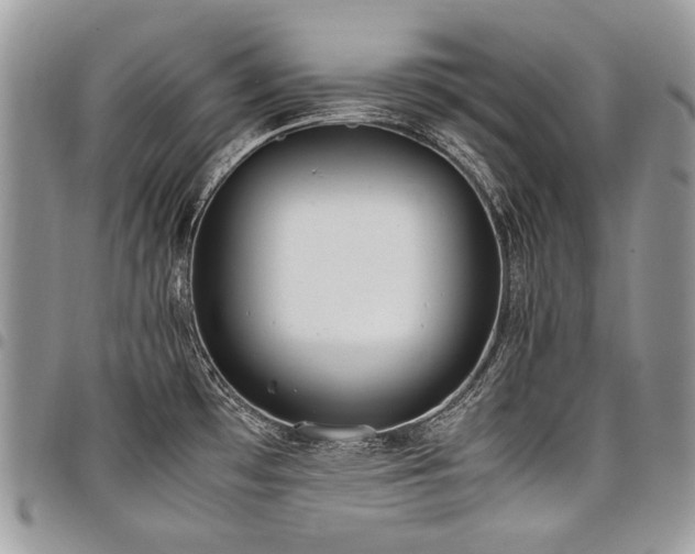 X0000098021481200803281323