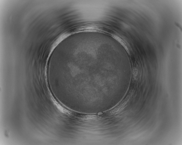 X0000098021482200803281323