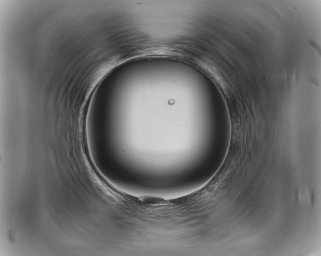 X0000098021483200803281323