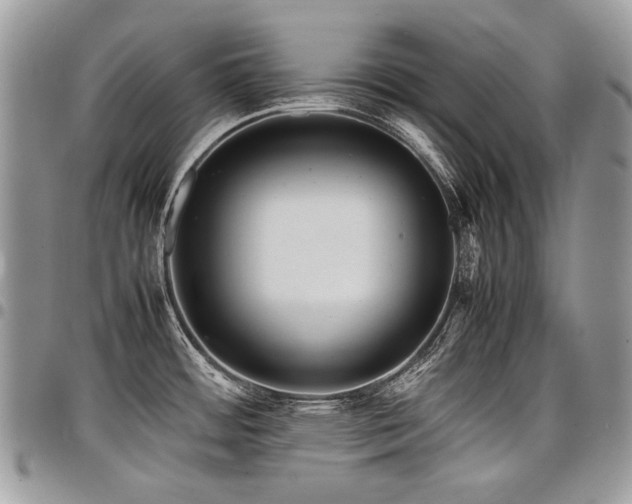 X0000098021484200803281323