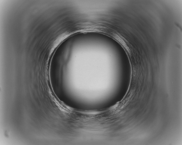 X0000098021485200803281323