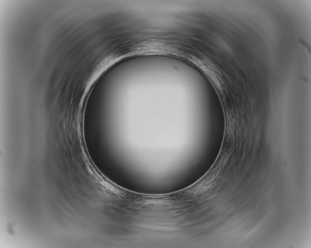 X0000098021486200803281323