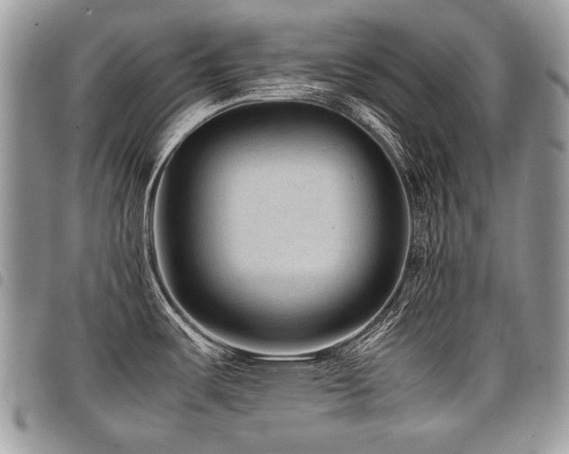 X0000098021487200803281323