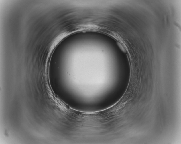 X0000098021488200803281323