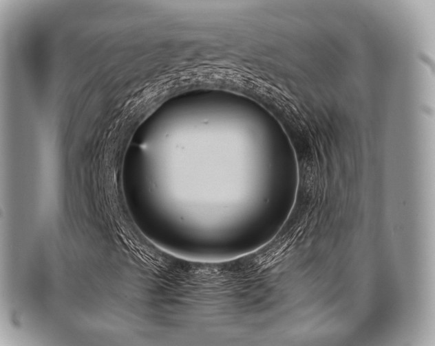 X0000098021489200803281323