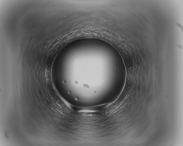 X0000098021490200803281323