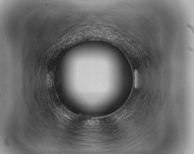 X0000098021491200803281323
