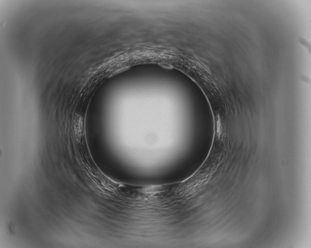 X0000098021492200803281323