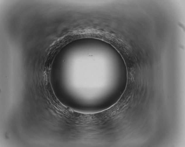 X0000098021493200803281323