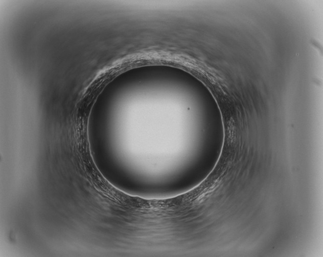 X0000098021494200803281323