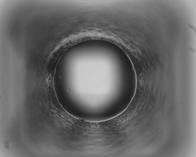 X0000098021495200803281323