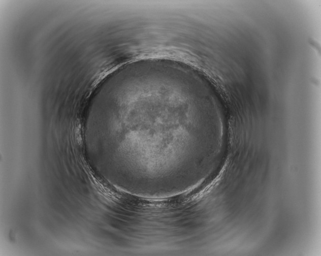 X0000098021497200803281323