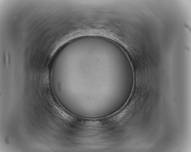 X0000098021498200803281323