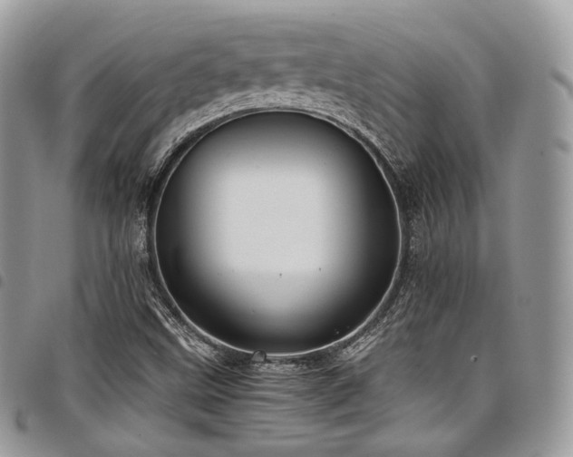 X0000098021499200803281323