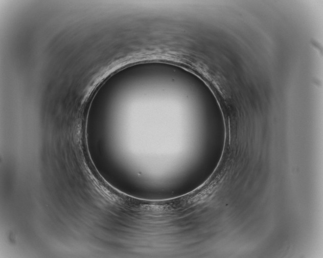 X0000098021500200803281323