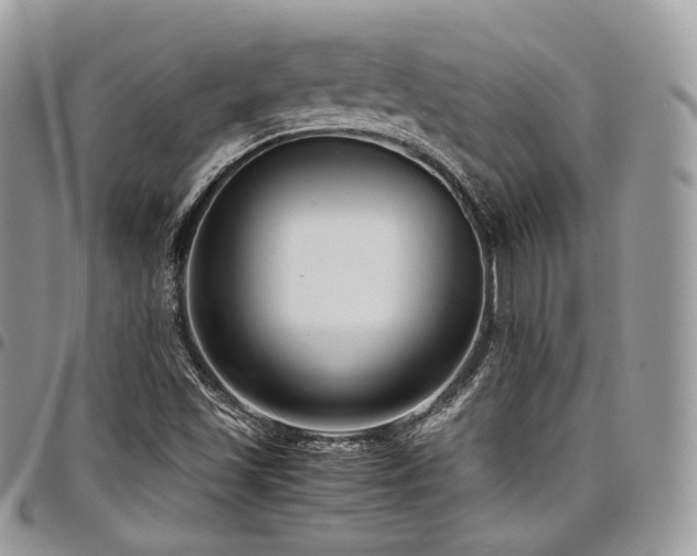 X0000098021501200803281323