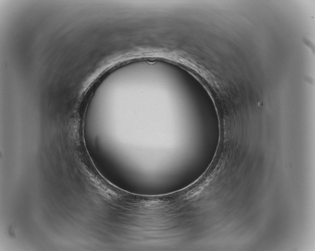 X0000098021502200803281323