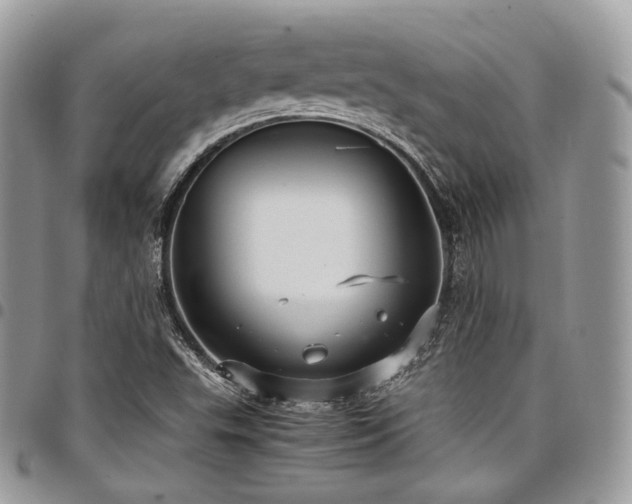 X0000098021503200803281323