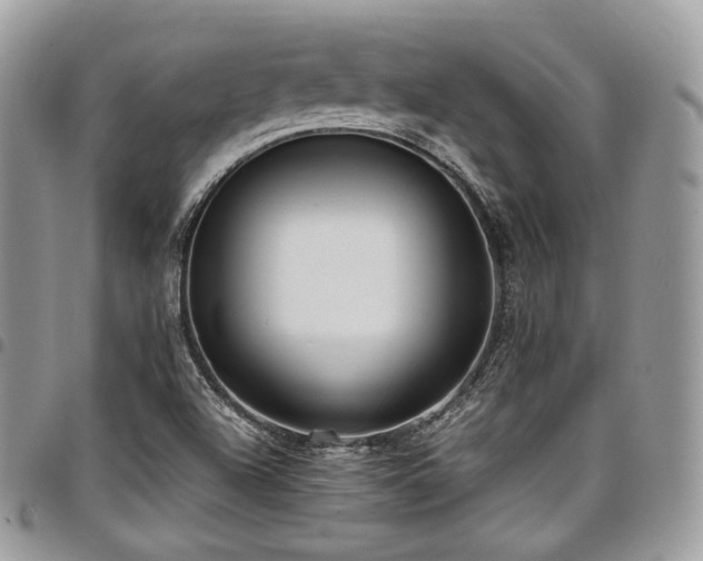 X0000098021504200803281323