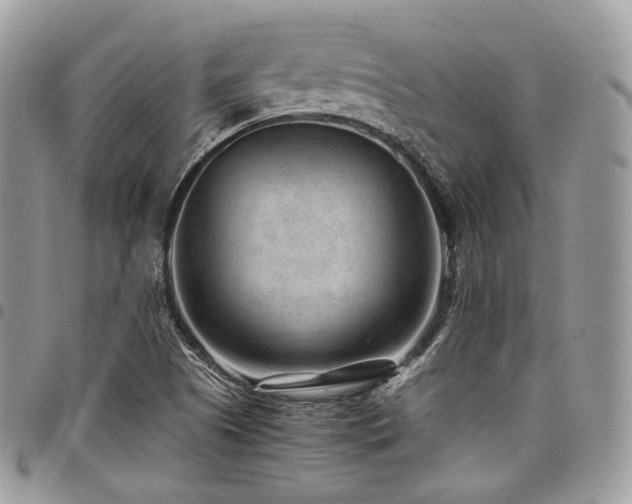 X0000098021505200803281323