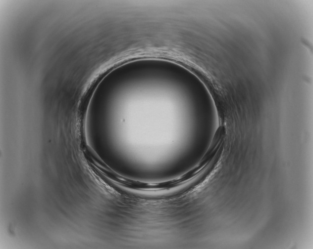 X0000098021506200803281323