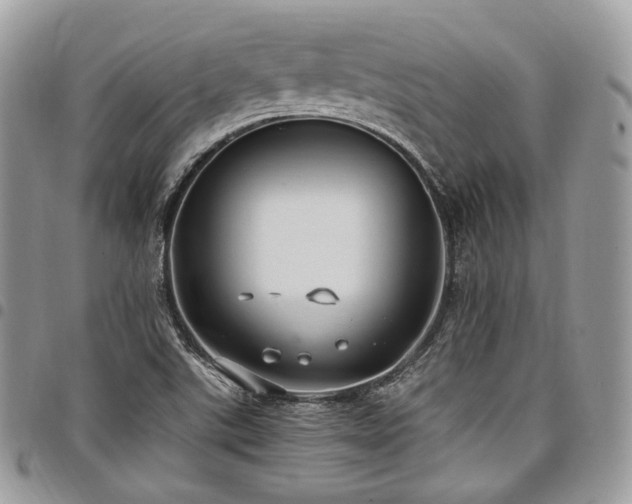 X0000098021507200803281323