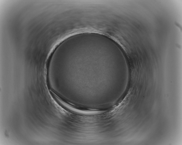 X0000098021508200803281323