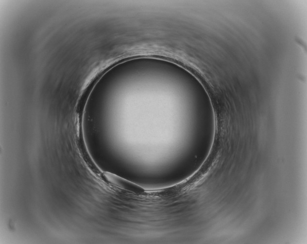 X0000098021509200803281323