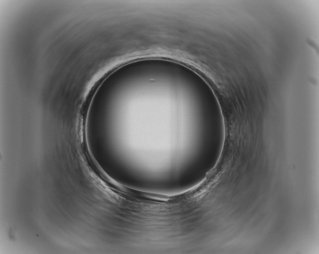 X0000098021510200803281323