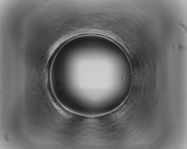 X0000098021511200803281323
