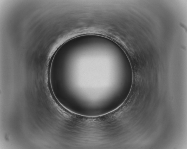 X0000098021512200803281323