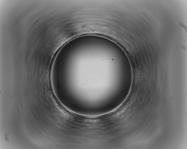 X0000098021513200803281323