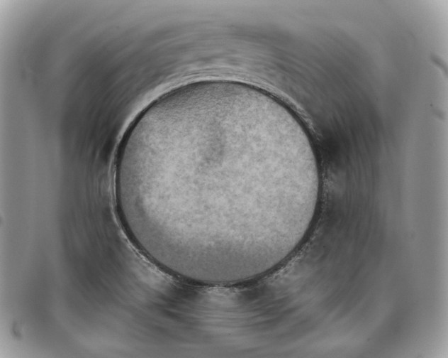 X0000098021514200803281323