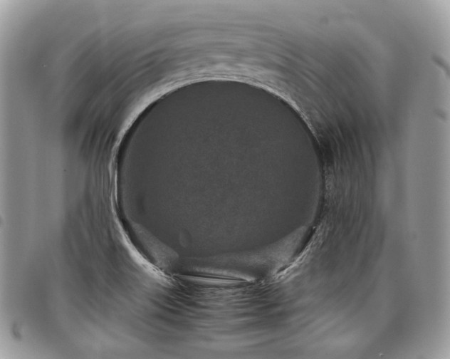 X0000098021515200803281323