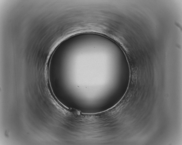 X0000098021516200803281323