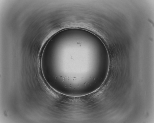 X0000098021517200803281323