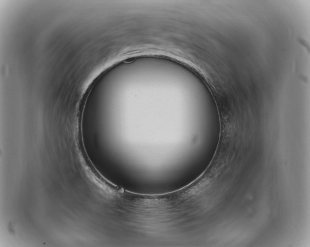 X0000098021518200803281323