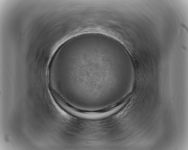 X0000098021519200803281323