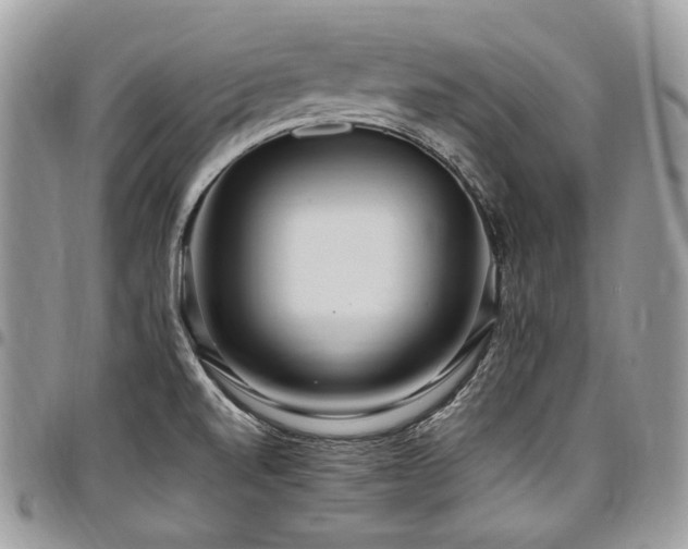 X0000098021520200803281323