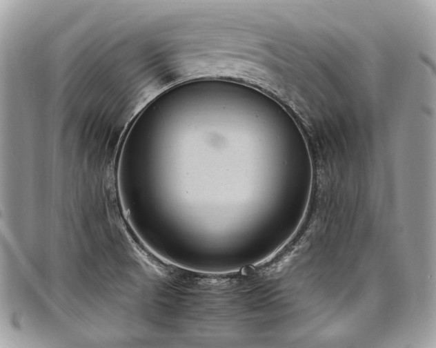 X0000098021521200803281323