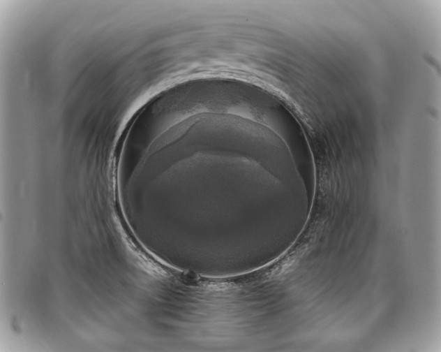 X0000098021522200803281323