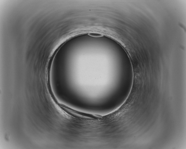 X0000098021523200803281323