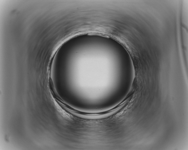 X0000098021524200803281323