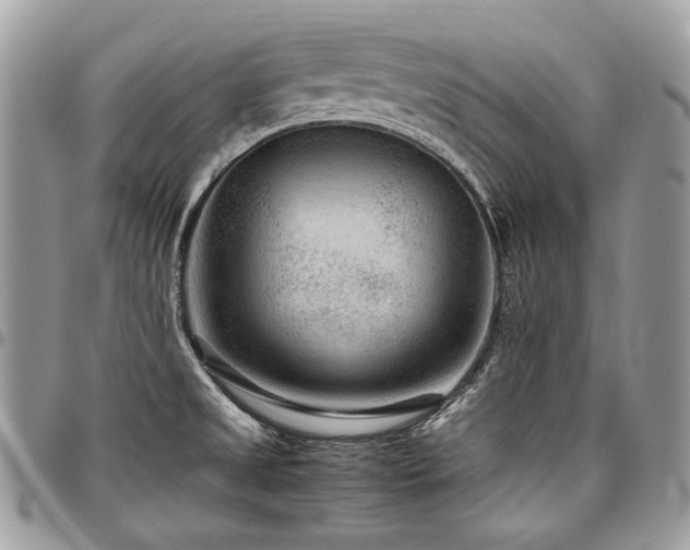 X0000098021525200803281323