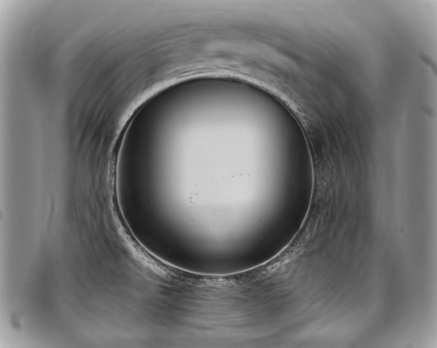 X0000098021526200803281323